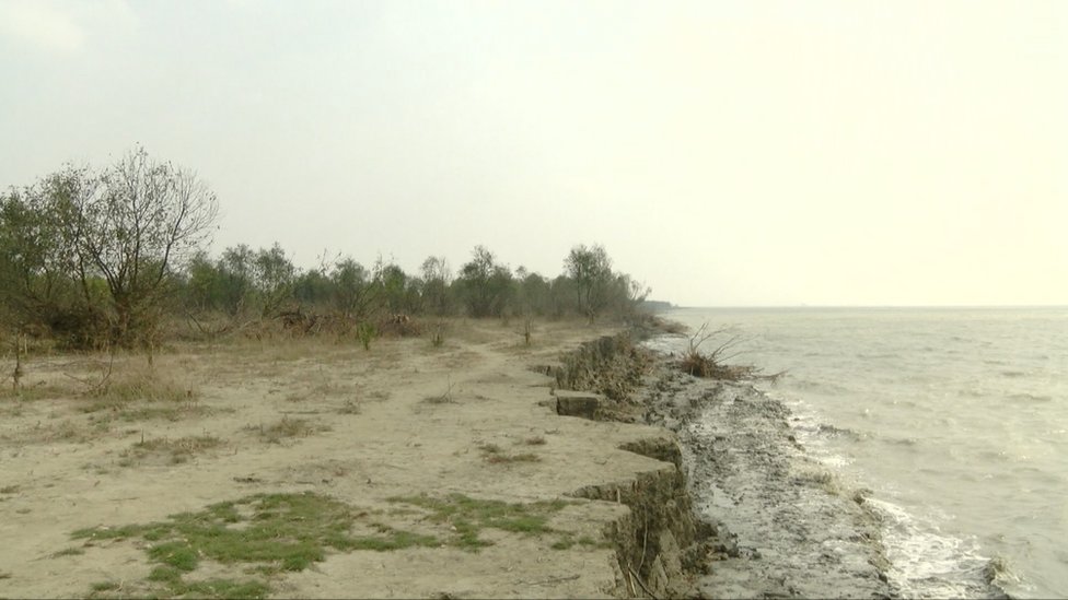 জালিয়ার চর