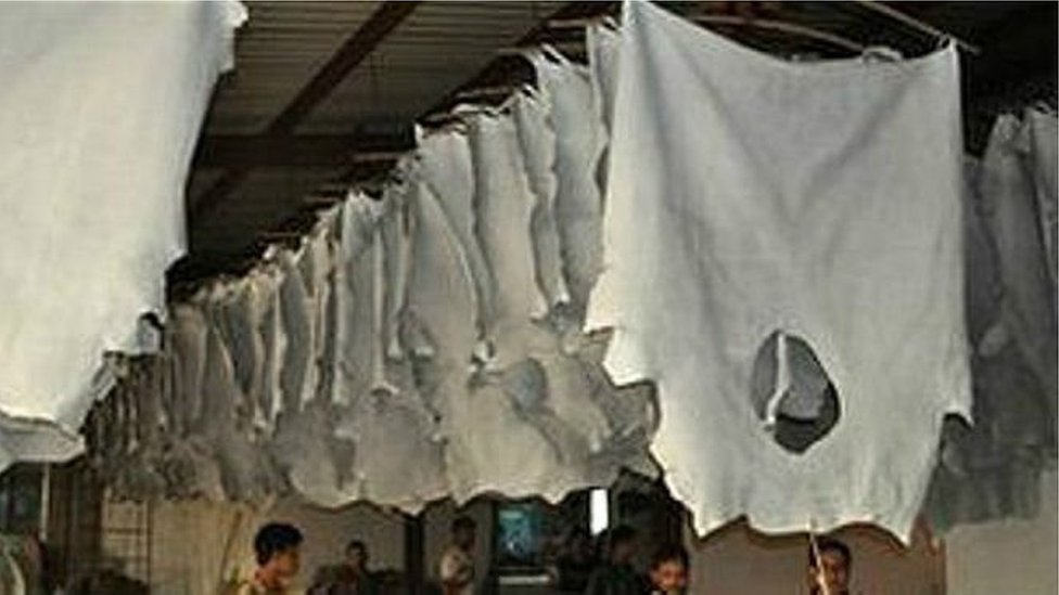 হাজারীবাগ থেকে ট্যানারিগুলোকে সরিয়ে নেবার জন্য সরকার ২০১৬ সালের ৩১শে মার্চের মধ্যে পর্যন্ত সময় বেঁধে দিয়েছিল