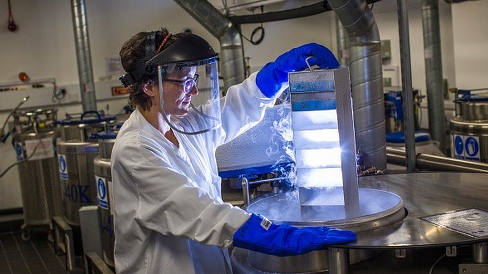 গবেষণা করছেন বিজ্ঞানীরা গবেষণা করছেন বিজ্ঞানীরা