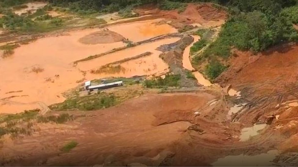 গানার একটি কোকো বাগান কেটে ফেলা হয়েছে গানার একটি কোকো বাগান কেটে ফেলা হয়েছে