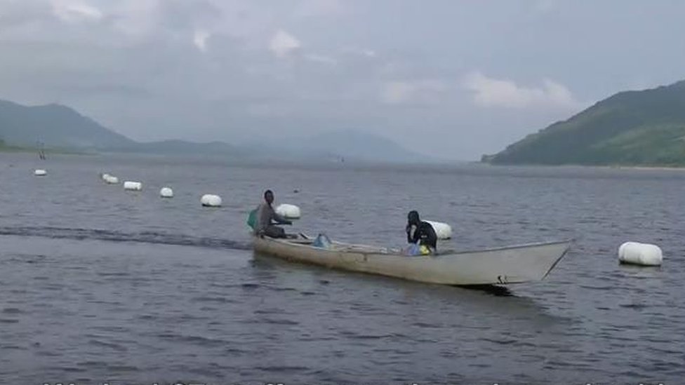 এভাবেই চলছে মাছ চাষ