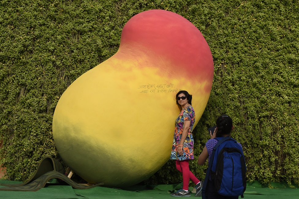 বিশাল আমের মডেল