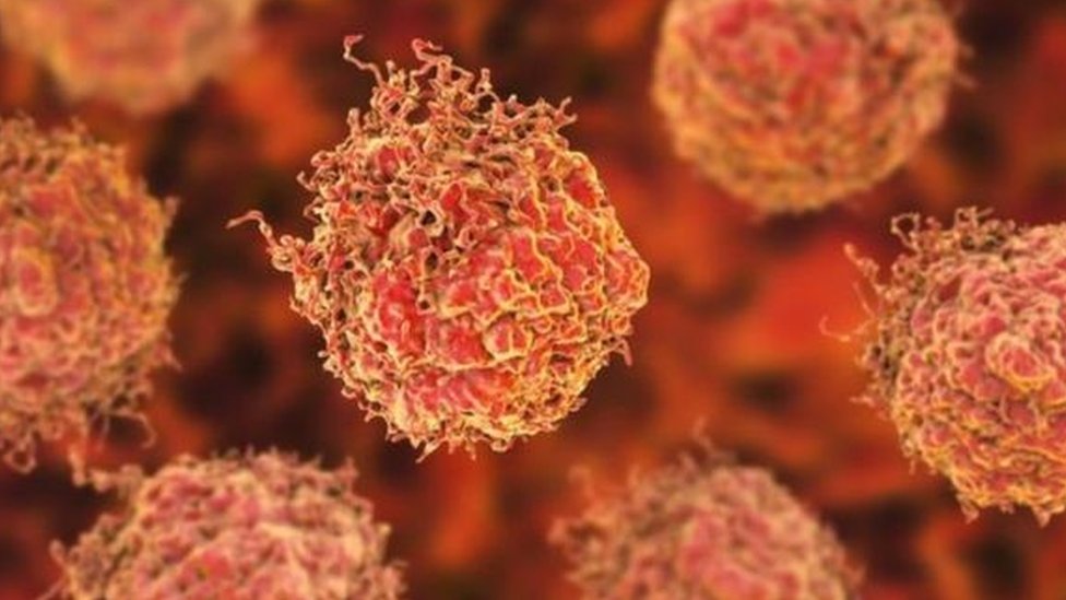 ক্যান্সার সেল