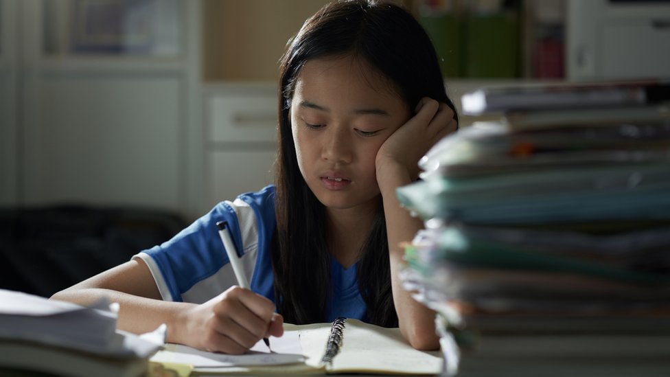 পড়াশোনা করছে এক শিক্ষার্থী।