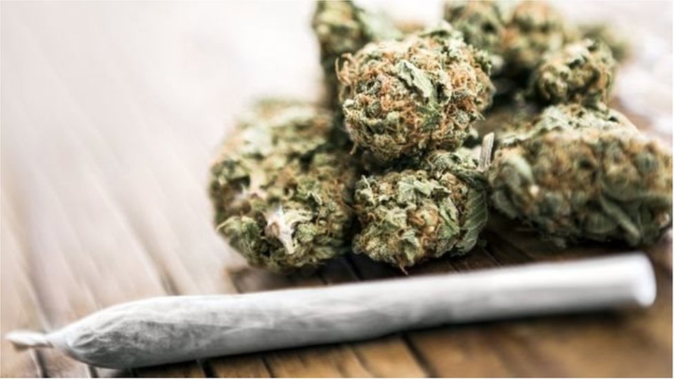 যাদের মস্তিষ্কের গঠন প্রক্রিয়া এখনো চলছে. গাঁজা তাতে ক্ষতিকর প্রভাব রাখে বলে বলছেন গবেষকরা যাদের মস্তিষ্কের গঠন প্রক্রিয়া এখনো চলছে. গাঁজা তাতে ক্ষতিকর প্রভাব রাখে বলে বলছেন গবেষকরা