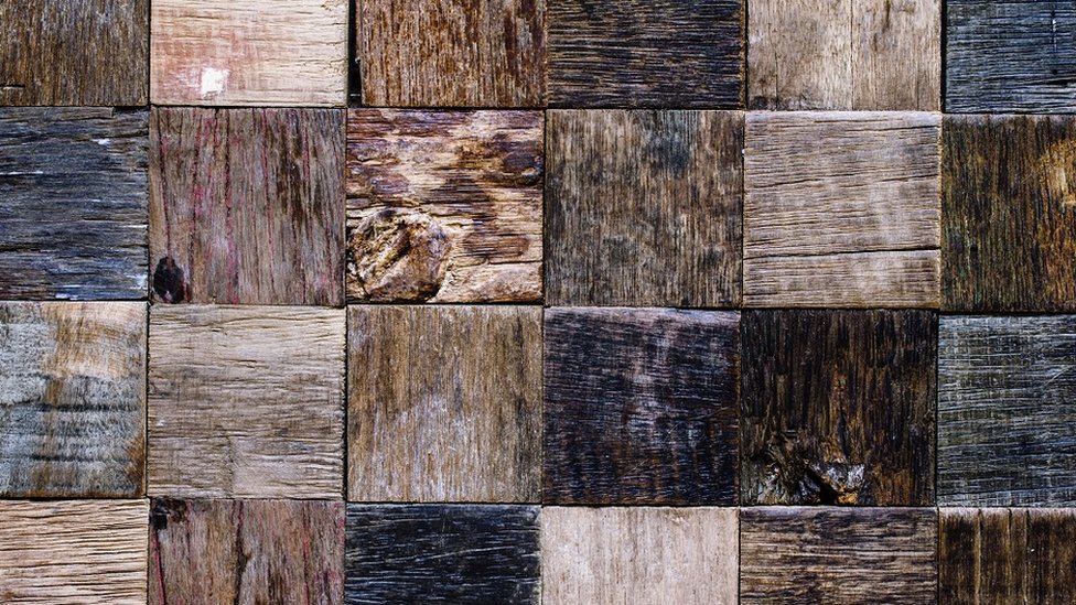 কাঠের প্রজাতি কাঠের প্রজাতি