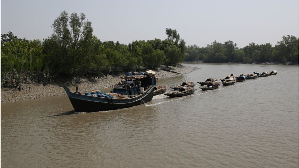 হরিণ শিকারিরা রাতের বেলায় গোপনে ঢোকে।