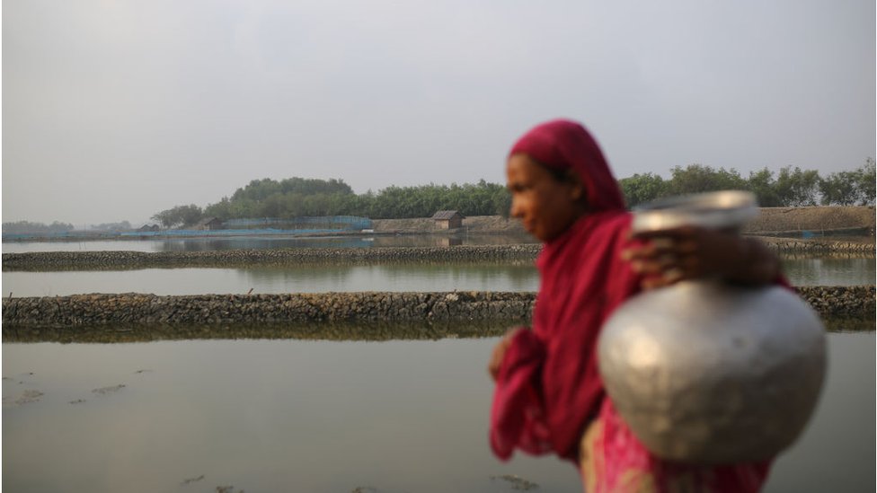 সুন্দরবন সংলগ্ন এলাকার স্থানীয় মানুষজন হরিণ শিকারের সাথে বেশি জড়িত।