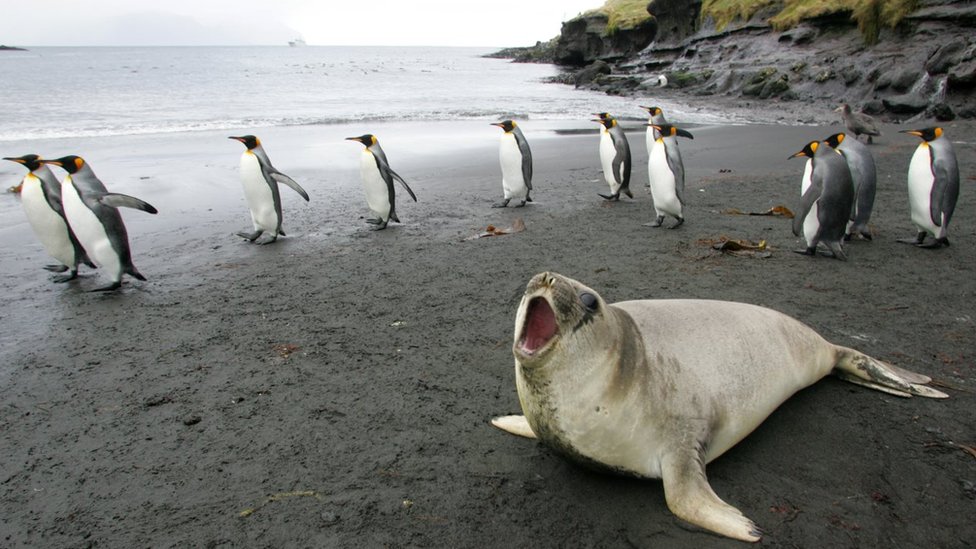 ফ্রান্সের অস্ট্রাল ভূমি ও সমুদ্র ফ্রান্সের অস্ট্রাল ভূমি ও সমুদ্র