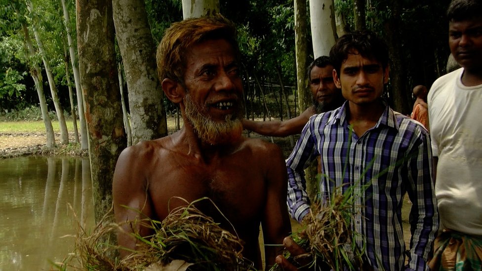 গরুকে খাওয়ানোর ঘাসও নেই কোথাও। গরুকে খাওয়ানোর ঘাসও নেই কোথাও।