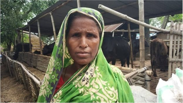 শাহজাদপুরের একজন গরু খামারি শাহজাদপুরের একজন গরু খামারি