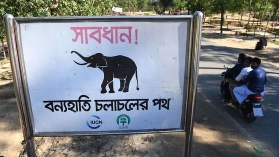 হাতির যাওয়া-আসার পথ নির্দেশক সাইনবোর্ড হাতির যাওয়া-আসার পথ নির্দেশক সাইনবোর্ড