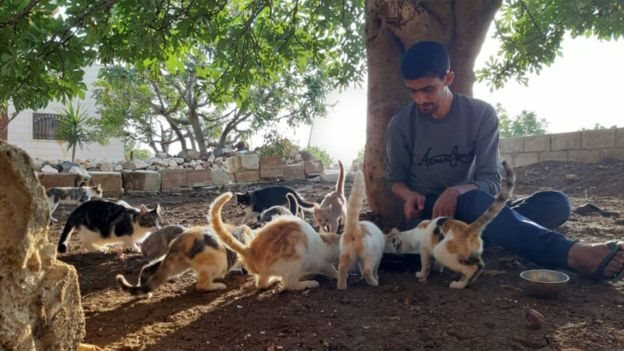 কাফর নাবলে এখন মানুষের চেয়ে বিড়াল অনেক বেশি কাফর নাবলে এখন মানুষের চেয়ে বিড়াল অনেক বেশি