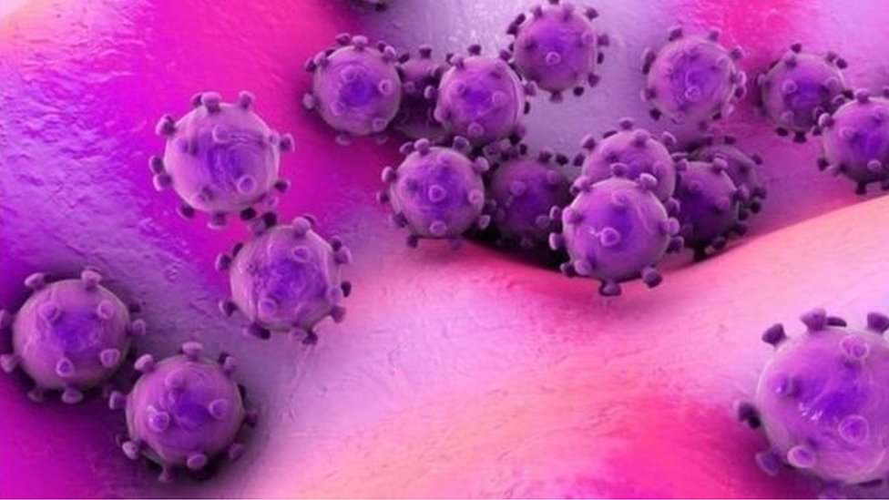 Picture of coronavirus