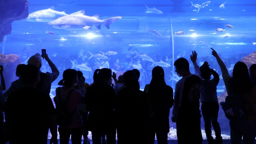Tourists at Wuhans aquarium