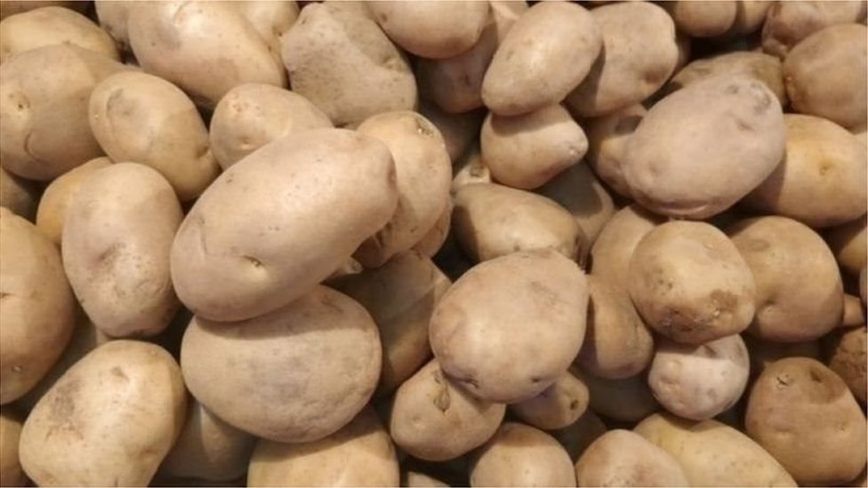 গত বছর আলুর উৎপাদন খরচ নির্ধারণ করা হয়েছিলো আগে গত বছর আলুর উৎপাদন খরচ নির্ধারণ করা হয়েছিলো আগে