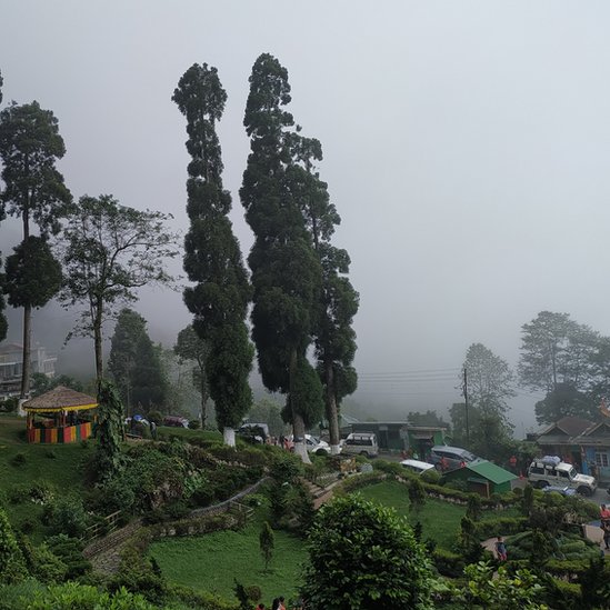 দার্জিলিং-এর কাছে লামাহাট্টা এখন ট্যুরিস্টদের নতুন আকর্ষণ।