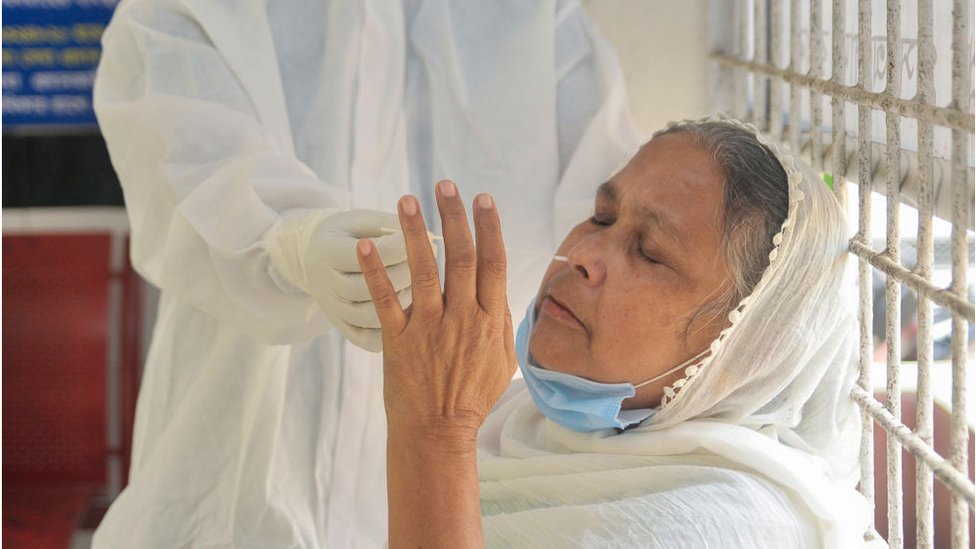 নমুনা পরীক্ষা