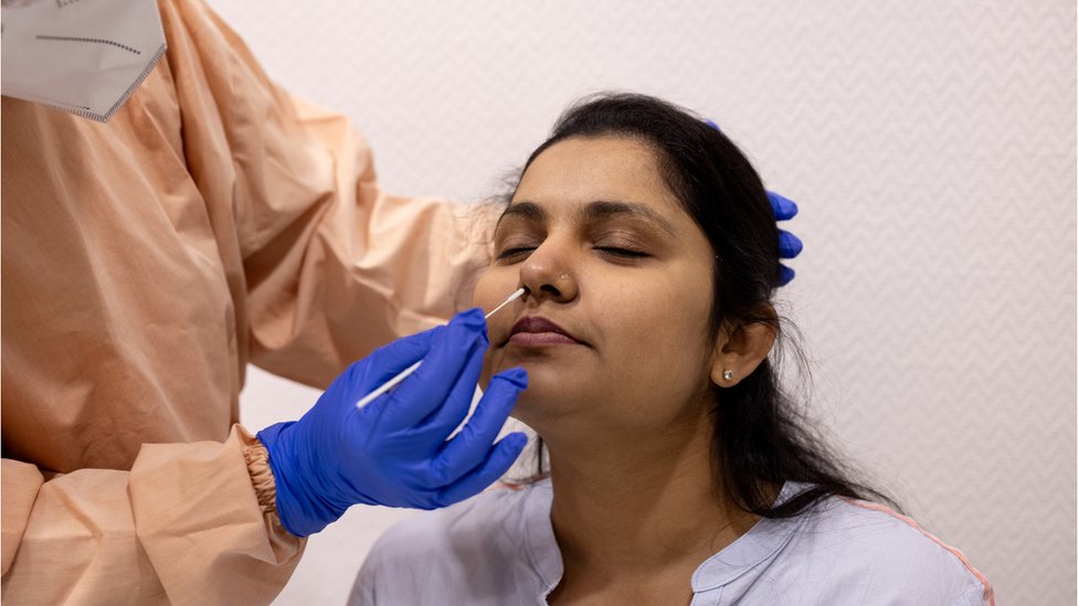 নমুনা সংগ্রহ নমুনা সংগ্রহ