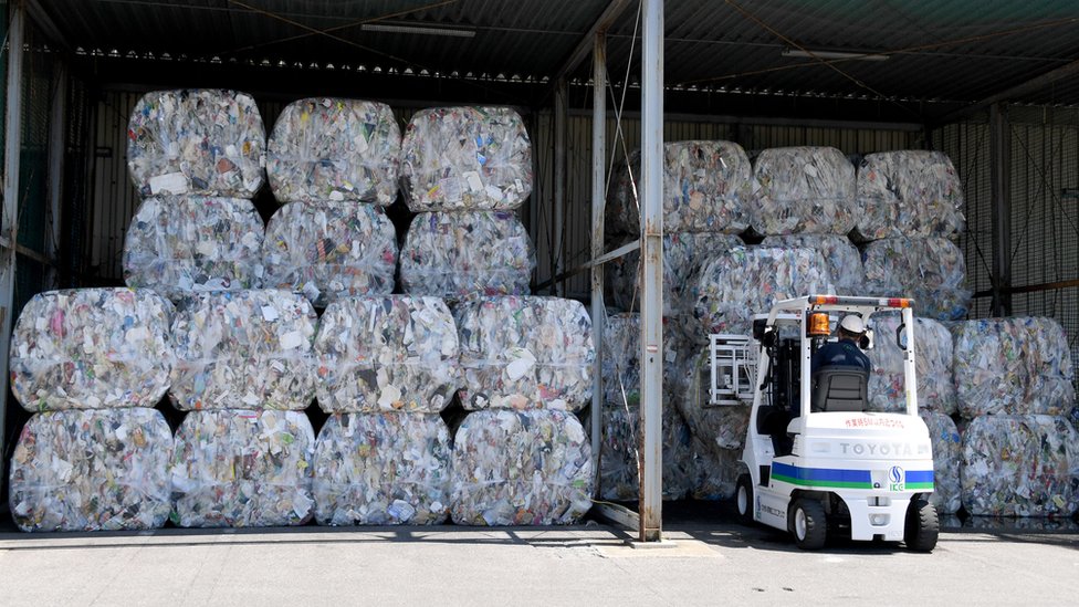 পৃথিবীতে প্রতি দিন হাজার হাজার টন প্লাস্টিক বর্জ্য তৈরি হচ্ছে