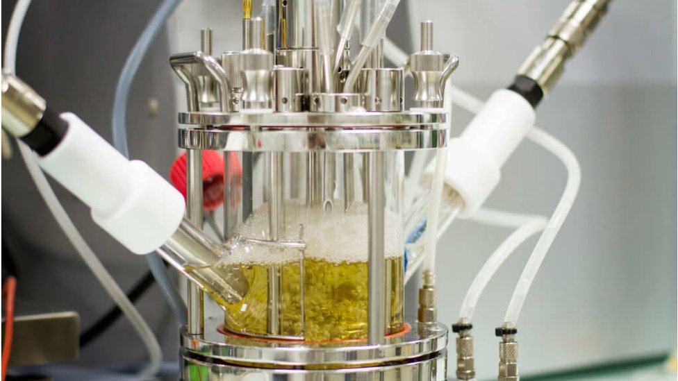 পিইটি ভাঙার জন্য এনজাইম ব্যবহার করছে কারবিওস