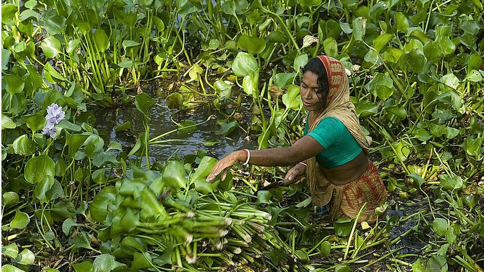 নারী