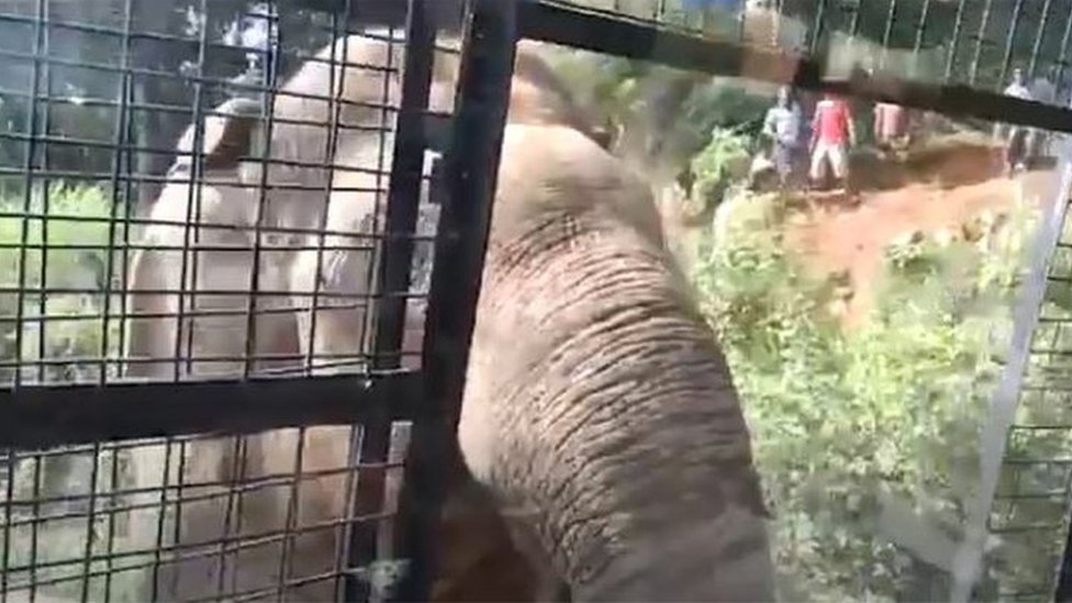 বাস থামিয়েছে গনেশান। বাস থামিয়েছে গনেশান।