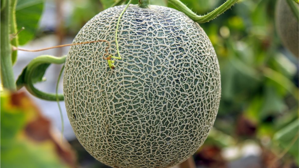 রকমেলন
