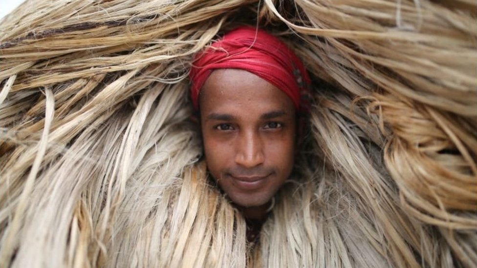 গত দুই বছর ধরে পাট চাষ করে লাভবান হচ্ছেন বাংলাদেশের কৃষকরা গত দুই বছর ধরে পাট চাষ করে লাভবান হচ্ছেন বাংলাদেশের কৃষকরা