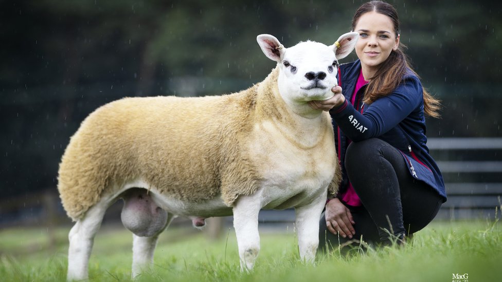 ডাবল ডায়মন্ড নিলামে প্রায় ৫ লাখ ডলারে বিক্রি হয়েছিল