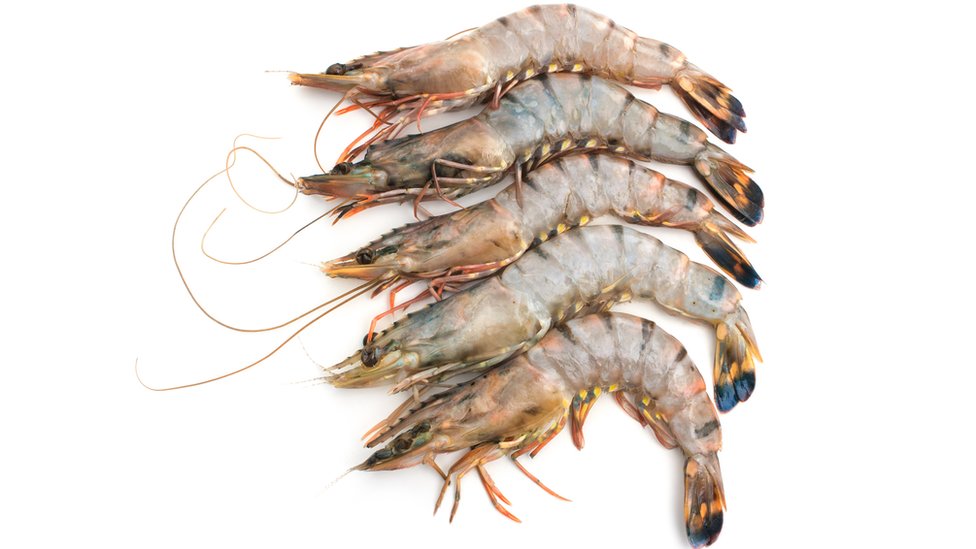 বাগদা চিংড়ি