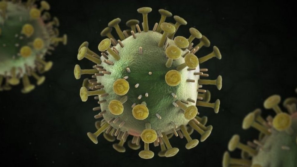 ত্বকের স্পর্শ বা মুখের লালায় এইচআইভি ছড়ায় না।