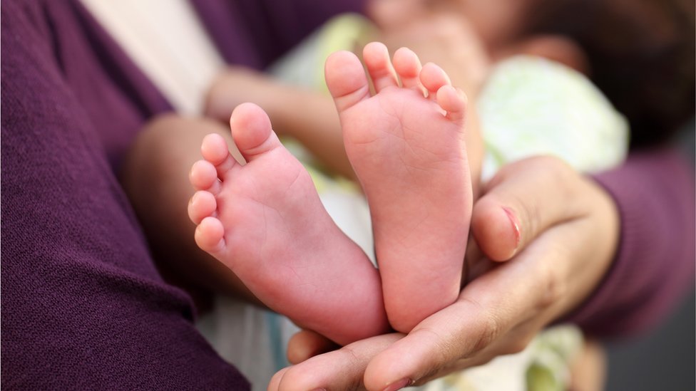 শিশু শিশু