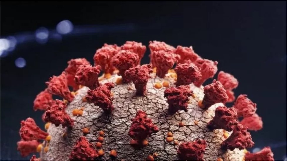 করোনাভাইরাস