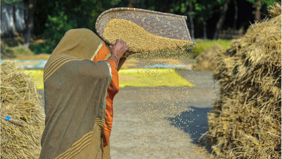 তীব্র তাপ ও আর্দ্রতার মধ্যে কাজ করছেন এক নারী।