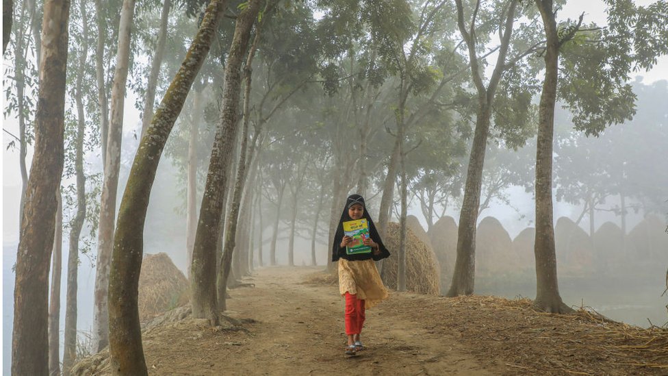 স্কুল শিক্ষার্থী। স্কুল শিক্ষার্থী।