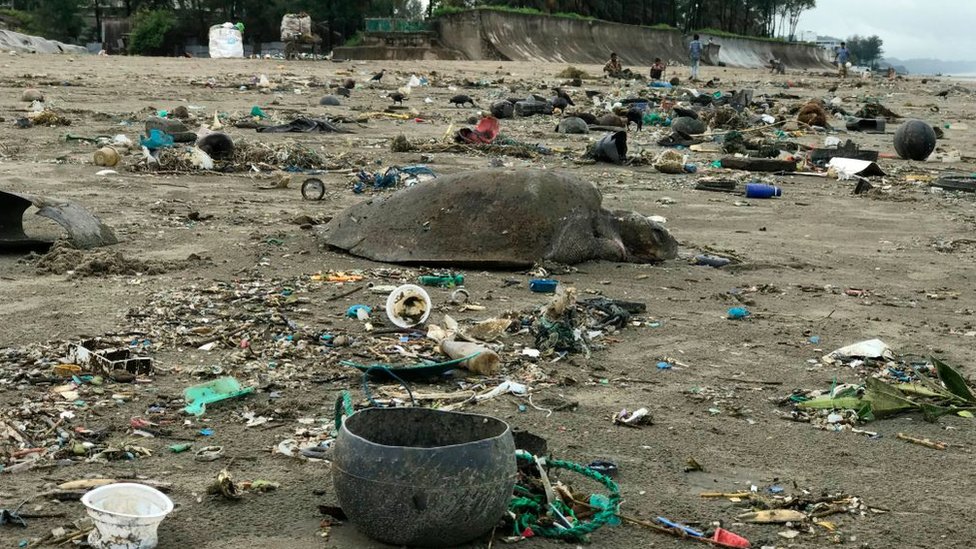 কক্সবাজারে প্লাস্টিকের দূষণ
