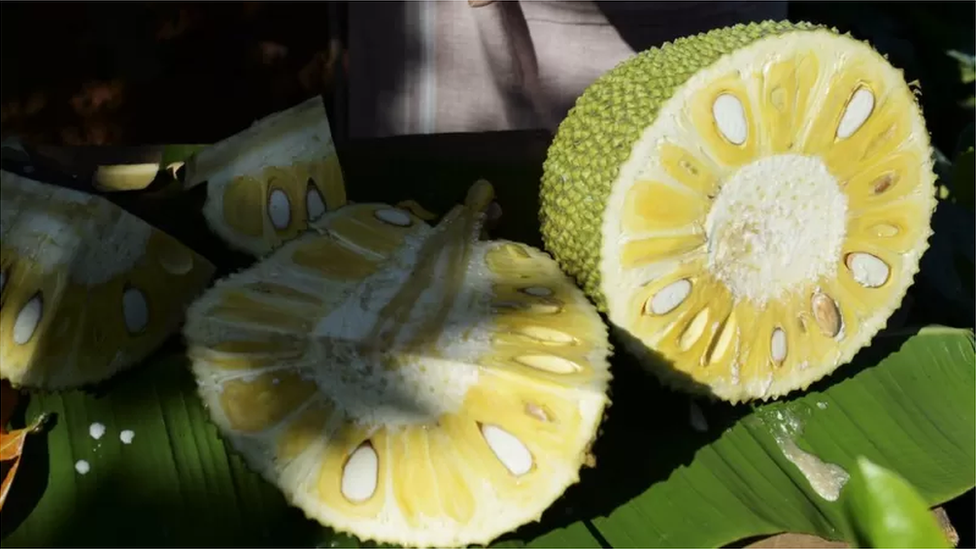 কাঁঠাল খুব দ্রুত পঁচে যায়। কাঁঠাল খুব দ্রুত পঁচে যায়।