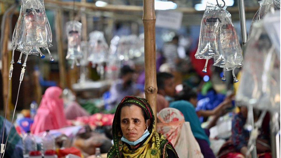 ডায়রিয়া