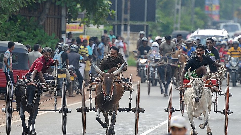 সিনহালা বর্ষবরণ সিনহালা বর্ষবরণ