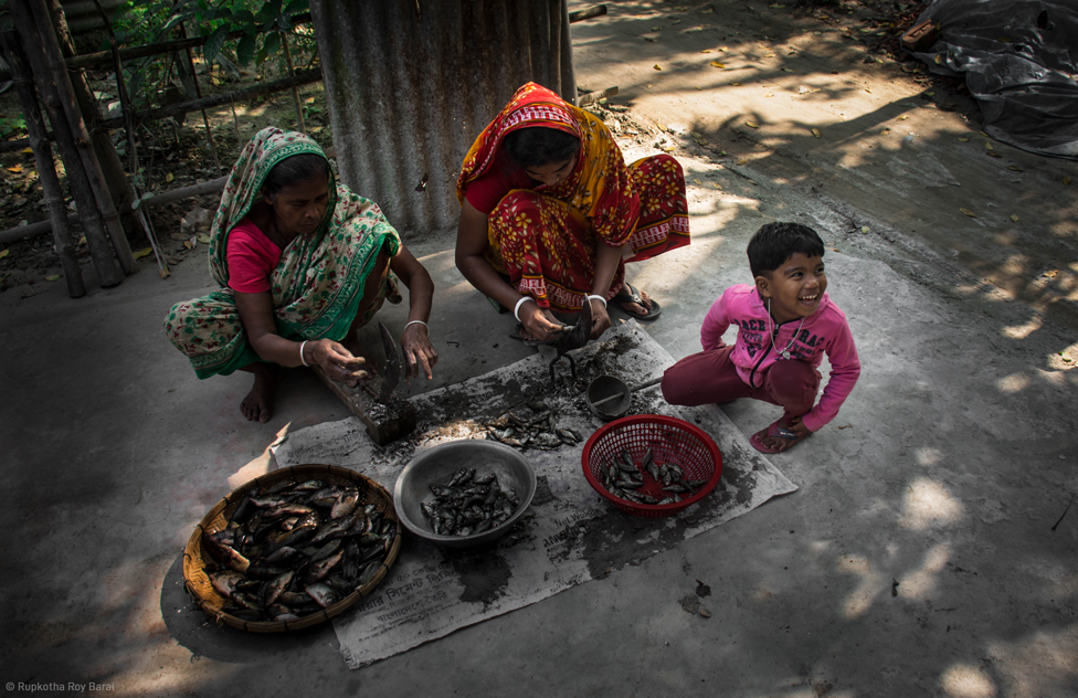 মাছ কাটাকাটি করছেন দুইজন মহিলা ও একটি শিশু