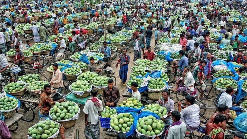 আমের হাট