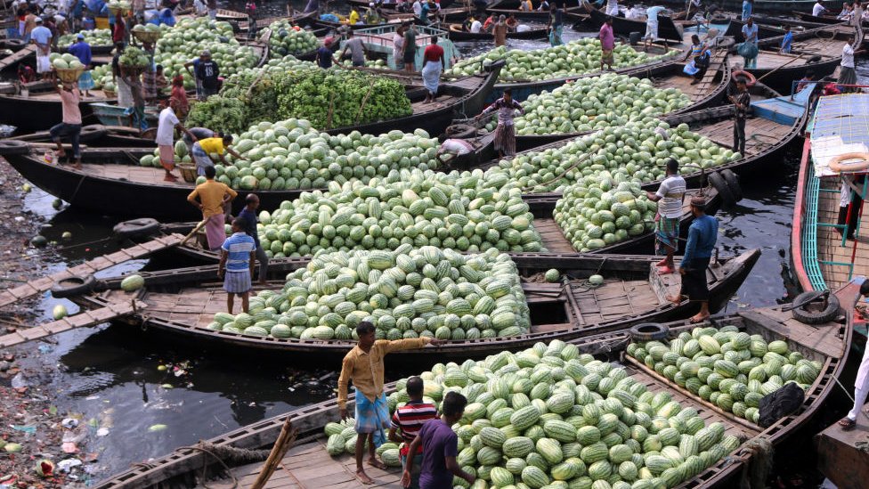 তরমুজ ব্যাপক জনপ্রিয় ফল বাংলাদেশে।