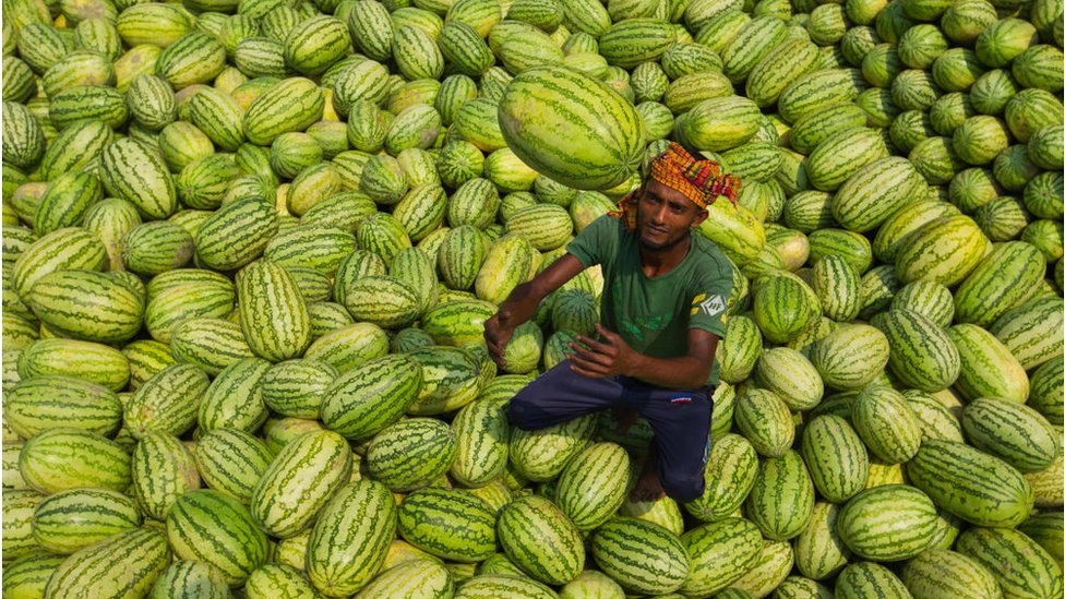 দেশী বিদেশী নানা জাতের তরমুজ পাওয়া যায় বাংলাদেশের বাজারে।