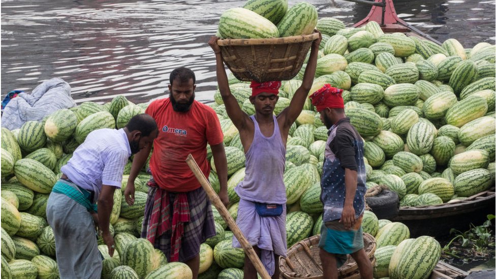 দেশের বিভিন্ন এলাকা থেকে তরমুজ আসে ঢাকায়।