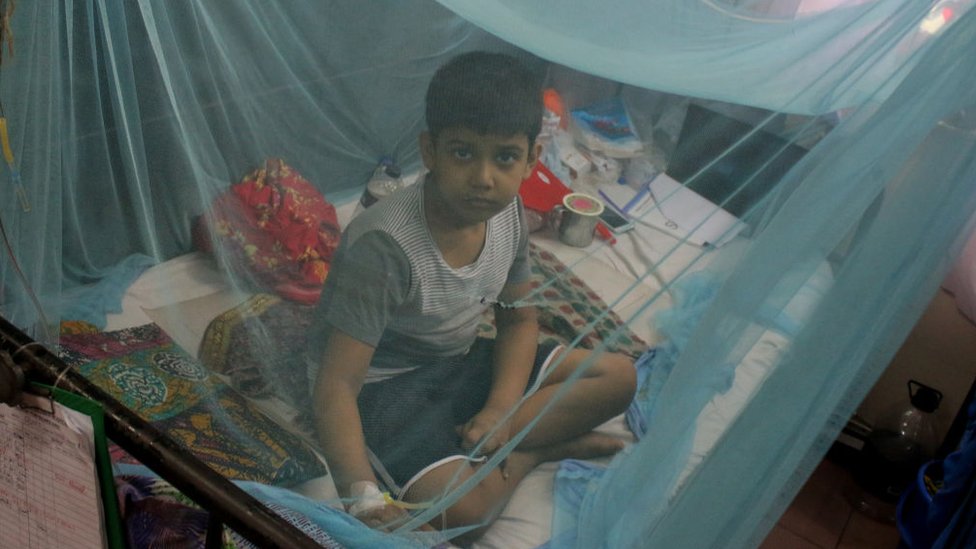 মশারির ভেতরে এক শিশু। মশারির ভেতরে এক শিশু।