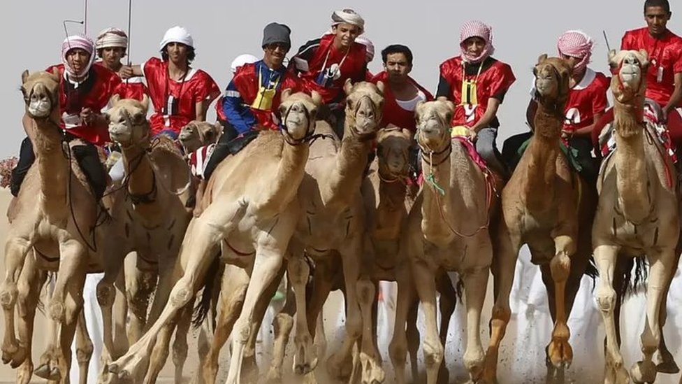 মরুভূমিতে উটের রেস