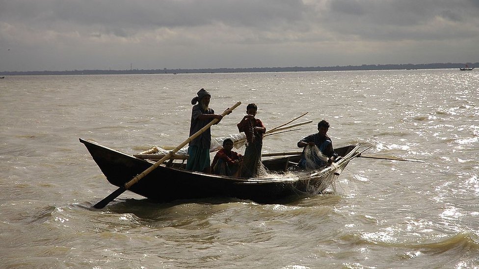 মাছ ধরছে জেলেরা। মাছ ধরছে জেলেরা।