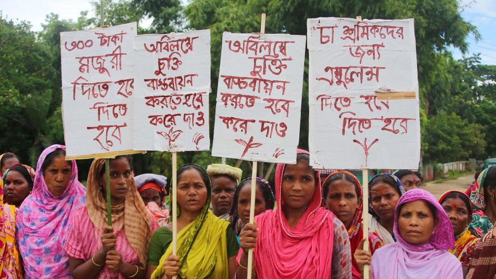 বিক্ষোভ আন্দোলন বিক্ষোভ আন্দোলন