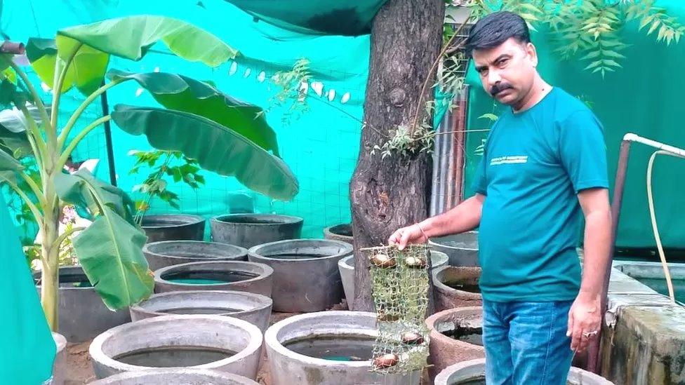 নিজের খামারে নরেন্দ্র গারওয়া